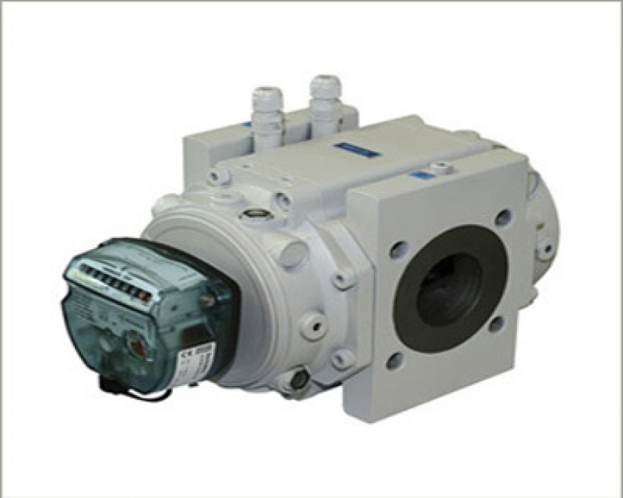 Rotary Meter